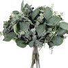 Eucalyptus Leaves Stems Bulk
