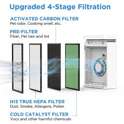 Allergies, Pollen, Smoke Air Purifier