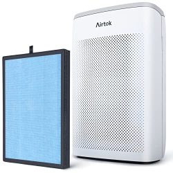 Air Purifiers for Home Large Rooms