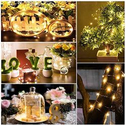 Wedding Copper String Lights