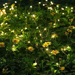 Wedding Copper String Lights