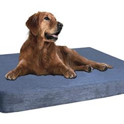 Waterproof Memory Foam Dog Bed