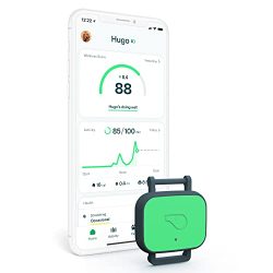 Dog Health and Fitness Tracker