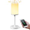 Bedside Lamp Bluetooth Speaker lamp