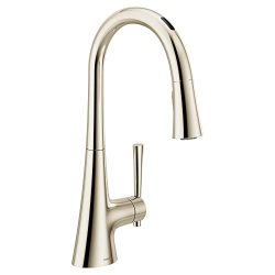 Pull Down Sprayer Kitchen Faucet with Voice Control