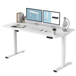Ergonomic Large Electric Stand Up Desk