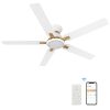 White Ceiling Fan with Lights