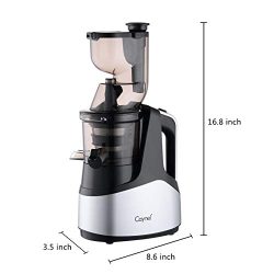 Slow Masticating Cold Press Juicer