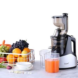 Slow Masticating Cold Press Juicer