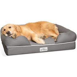 Orthopedic Memory Foam for your Dog Bed