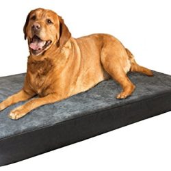 Orthopedic Waterproof Durable Dog Bed