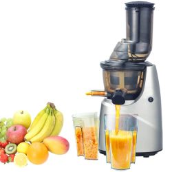 Slow Juicer Easy to Clean for Vegetables and Fruits