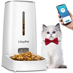Automatic Cat Feeders for Automatic Dry Food