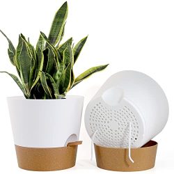 Large Plastic Planters with Drainage Holes