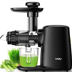 Vegetable and Fruit Juicer Extractor