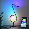 Tiktok Ambient Mood Lighting Lamp