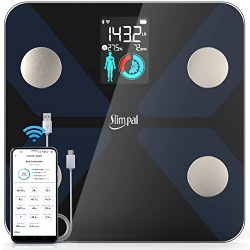 Body Fat Scale with Large Display