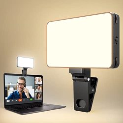 Video Conference Lighting for Zoom Meetings