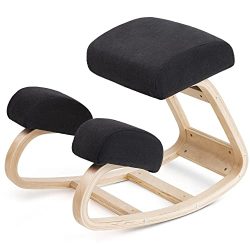 Home Ergonomic Chair with Extra Padding