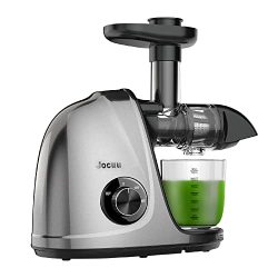 Cold Press Juicer and Reverse Function