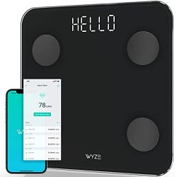 Body Fat, BMI, and Weight Loss Digital Bathroom Scale