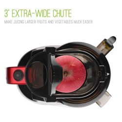 Slow Masticating Cold Press Juicer