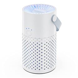 Pets, Smoke, Dust Air Purifier with True HEPA Filters
