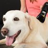 Healing and Reduces Pain and Inflammation in Dogs