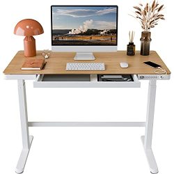 Usb Ports on Desk with Drawers Electric Sit Stand up Desk
