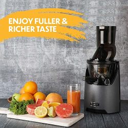 Slow Juicer Higher Nutrients and Vitamins