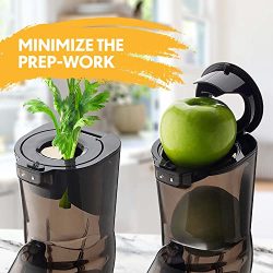 Slow Juicer Higher Nutrients and Vitamins