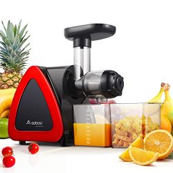 Slow Masticating Cold Press juicer Extractor