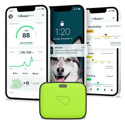 Fitness Dog Tracker Plus Health & Fitness Monitor