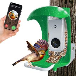 Smart Bird Feeder with Camera