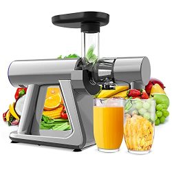 Masticating Juicer Cold Press Extractor