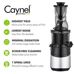 Slow Masticating Cold Press Juicer