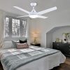 Ceiling Fan with Lights and Remote