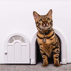 No-Flap Cat Door No Training Needed