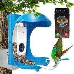 Bird Feeder that Automatic Sensing Birds