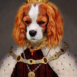 Funny Custom pet portrait as King or Queen