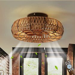 Low Profile Caged Ceiling Fans with Lights