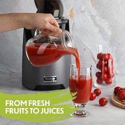 Slow Juicer Higher Nutrients and Vitamins