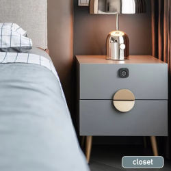 Keyless Biometric Fingerprint Cabinet Lock – Smart Security for Drawers and Doors