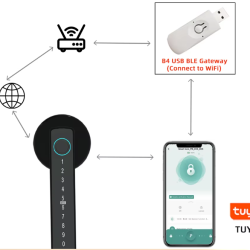 RAYKUBE M5 Smart Fingerprint Door Lock with Multiple Unlock Methods for Secure Entry