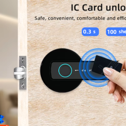 RAYKUBE M5 Smart Fingerprint Door Lock with Multiple Unlock Methods for Secure Entry