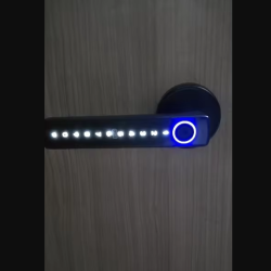 RAYKUBE M5 Smart Fingerprint Door Lock with Multiple Unlock Methods for Secure Entry